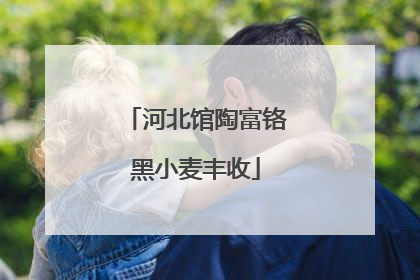 河北馆陶富铬黑小麦丰收