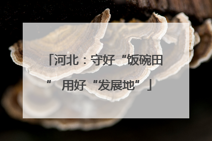 河北：守好“饭碗田” 用好“发展地”