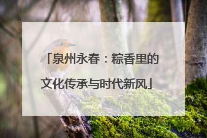 泉州永春：粽香里的文化传承与时代新风