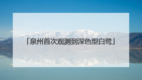 泉州首次观测到深色型白鹭