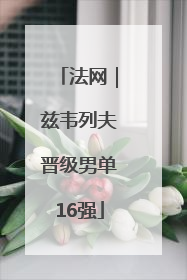 法网｜兹韦列夫晋级男单16强