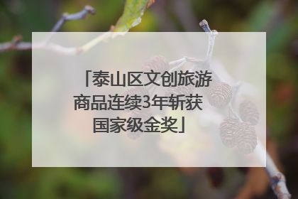 泰山区文创旅游商品连续3年斩获国家级金奖