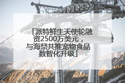 派特鲜生天使轮融资2500万美元，与海鼎共推宠物食品数智化升级