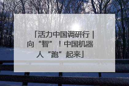 活力中国调研行｜向“智”！中国机器人“跑”起来