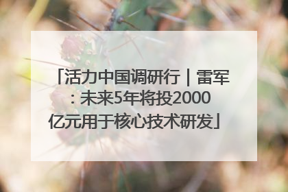 活力中国调研行｜雷军：未来5年将投2000亿元用于核心技术研发