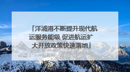 洋浦港不断提升现代航运服务能级 促进航运扩大开放政策快速落地