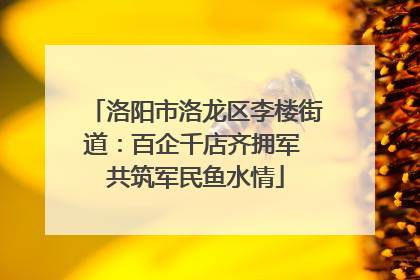 洛阳市洛龙区李楼街道：百企千店齐拥军 共筑军民鱼水情