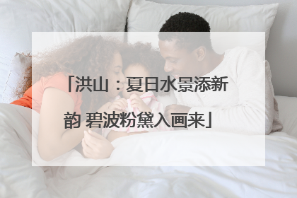洪山：夏日水景添新韵 碧波粉黛入画来