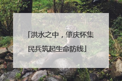洪水之中，肇庆怀集民兵筑起生命防线