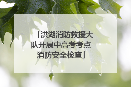 洪湖消防救援大队开展中高考考点消防安全检查