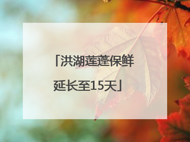 洪湖莲蓬保鲜延长至15天
