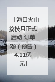 海口火山荔枝月正式启动 订单额（预售）4.11亿元
