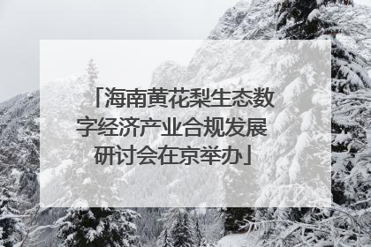 海南黄花梨生态数字经济产业合规发展研讨会在京举办