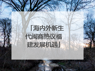 海内外新生代闽商热议福建发展机遇