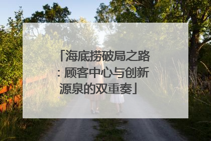 海底捞破局之路：顾客中心与创新源泉的双重奏