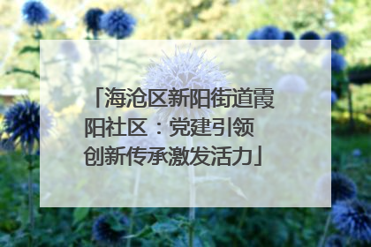 海沧区新阳街道霞阳社区：党建引领 创新传承激发活力