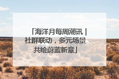 海洋月每周潮讯｜社群联动，多元场景共绘蔚蓝新章