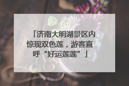 济南大明湖景区内惊现双色莲，游客直呼“好运莲莲”