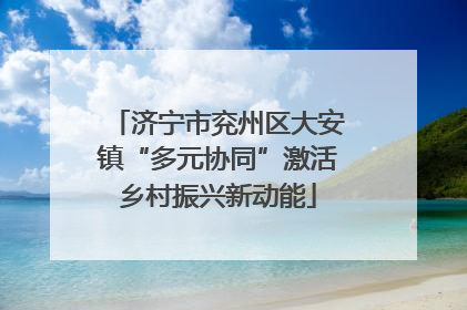 济宁市兖州区大安镇“多元协同”激活乡村振兴新动能