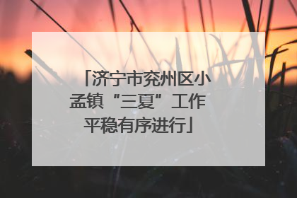 济宁市兖州区小孟镇“三夏”工作平稳有序进行