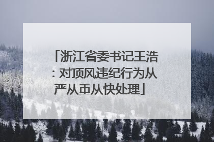浙江省委书记王浩：对顶风违纪行为从严从重从快处理