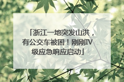浙江一地突发山洪，有公交车被困！刚刚Ⅳ级应急响应启动