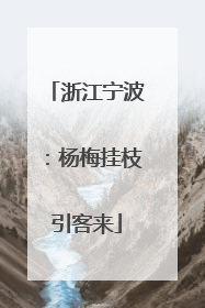 浙江宁波：杨梅挂枝引客来