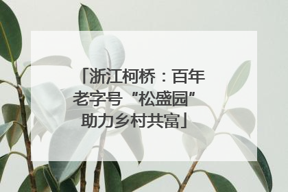浙江柯桥：百年老字号“松盛园”助力乡村共富