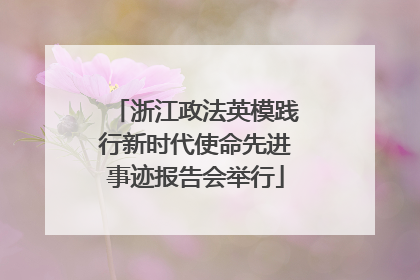 浙江政法英模践行新时代使命先进事迹报告会举行