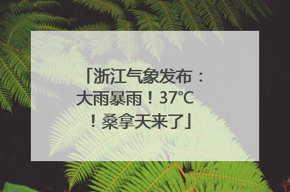浙江气象发布：大雨暴雨！37℃！桑拿天来了