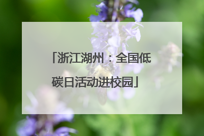 浙江湖州：全国低碳日活动进校园