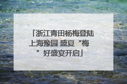 浙江青田杨梅登陆上海豫园 盛夏“梅”好盛宴开启