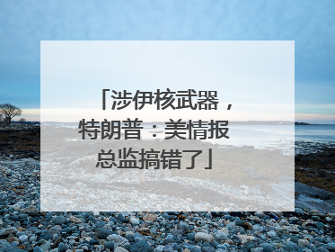 涉伊核武器，特朗普：美情报总监搞错了