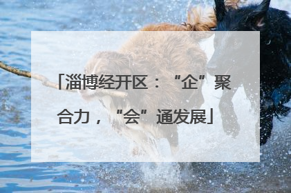 淄博经开区：“企”聚合力，“会”通发展