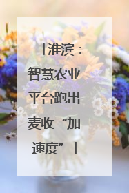淮滨：智慧农业平台跑出麦收“加速度”