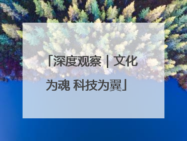 深度观察｜文化为魂 科技为翼