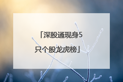 深股通现身5只个股龙虎榜
