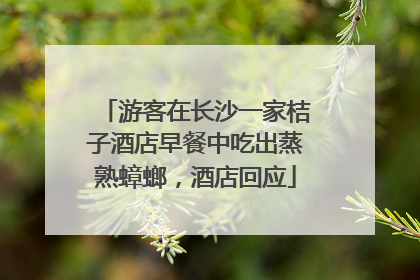 游客在长沙一家桔子酒店早餐中吃出蒸熟蟑螂，酒店回应