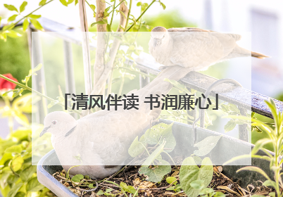 清风伴读 书润廉心
