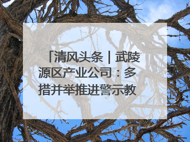清风头条｜武陵源区产业公司：多措并举推进警示教育走深走实