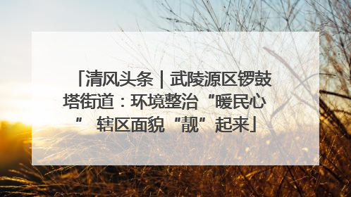 清风头条｜武陵源区锣鼓塔街道：环境整治“暖民心” 辖区面貌“靓”起来