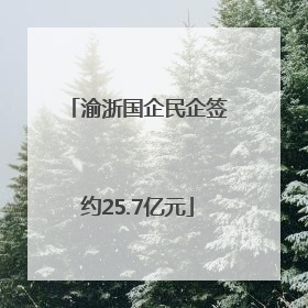 渝浙国企民企签约25.7亿元