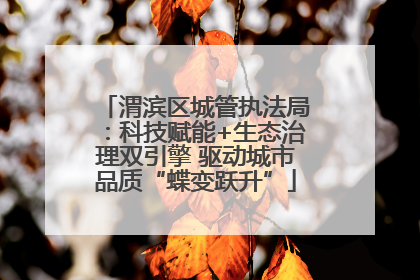 渭滨区城管执法局：科技赋能+生态治理双引擎 驱动城市品质“蝶变跃升”