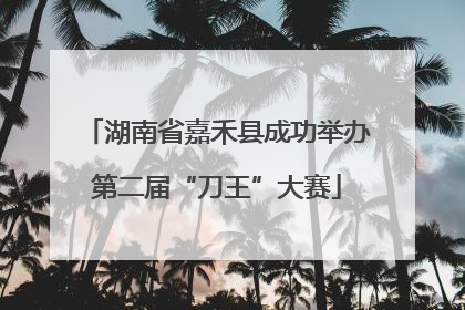 湖南省嘉禾县成功举办第二届“刀王”大赛