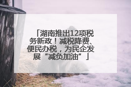 湖南推出12项税务新政！减税降费、便民办税，为民企发展“减负加油”