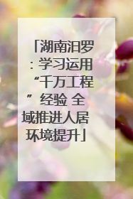 湖南汨罗：学习运用“千万工程”经验 全域推进人居环境提升