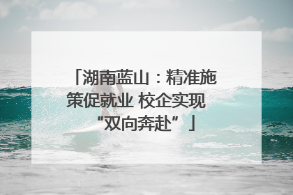 湖南蓝山：精准施策促就业 校企实现“双向奔赴”