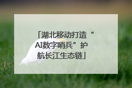 湖北移动打造“AI数字哨兵”护航长江生态链