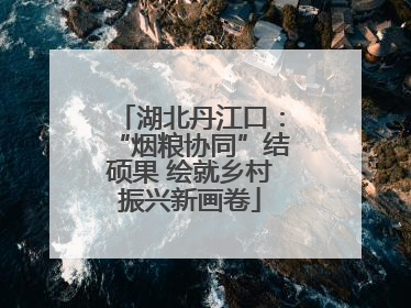 湖北丹江口：“烟粮协同”结硕果 绘就乡村振兴新画卷