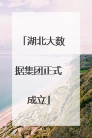 湖北大数据集团正式成立